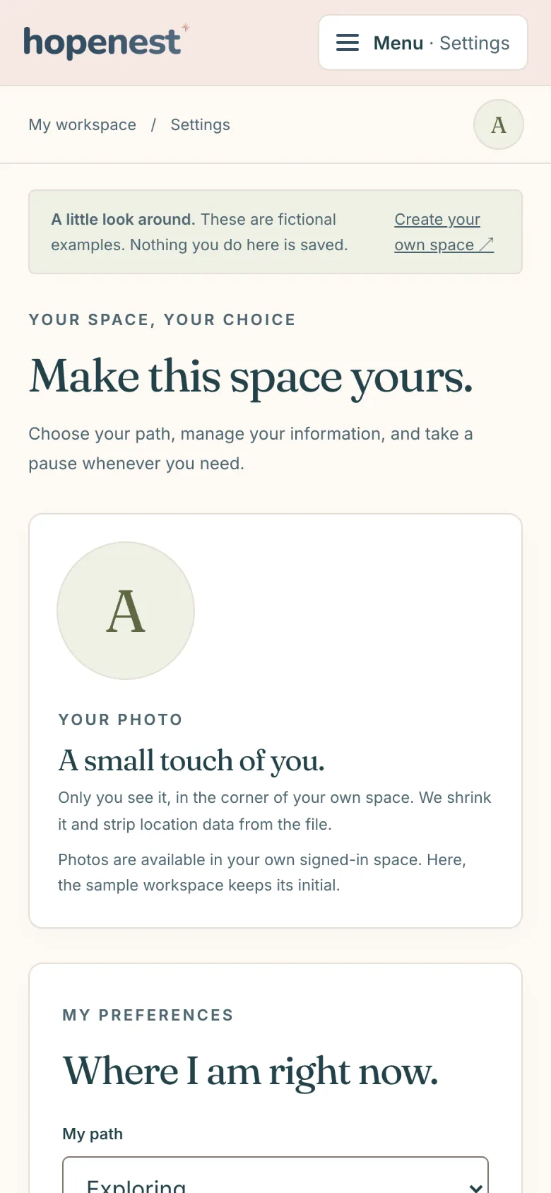 The Who can see my space card of an HopeNest sample workspace, listing Sam and Priya as active and Dana as revoked, with the sections each can see and Stop sharing links, beside a form to share with a partner or support person and tick what they can see.