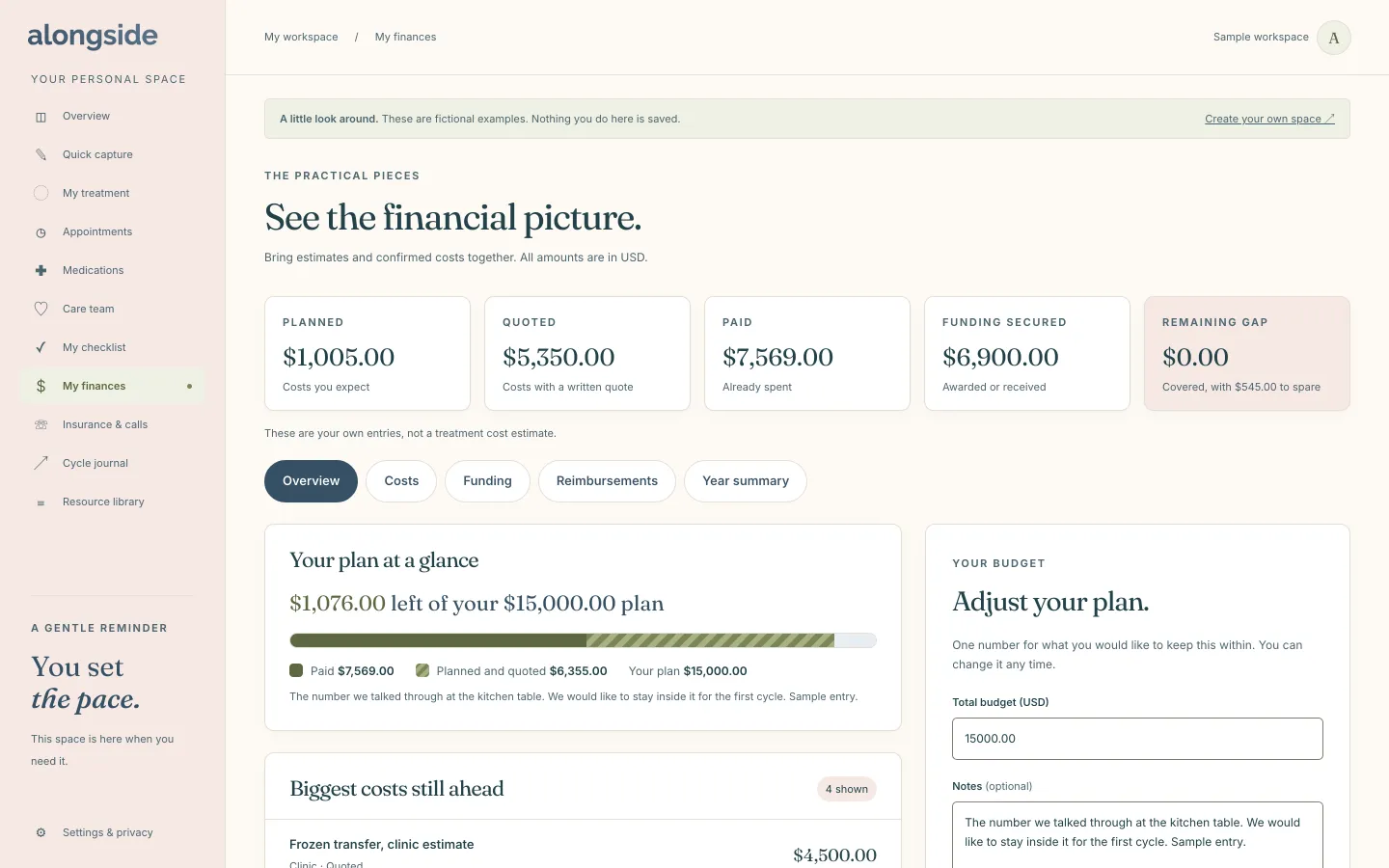 The finances view of an HopeNest sample workspace, showing costs, what has been paid and what is left to plan for.