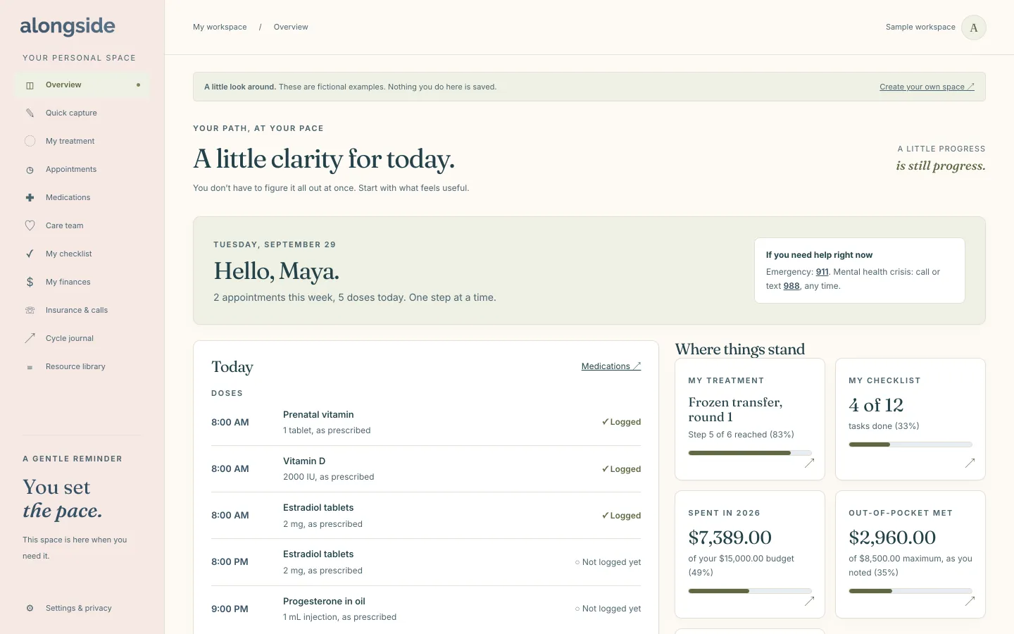 The Today view of an HopeNest sample workspace, showing the week ahead: appointments, medications and next steps.